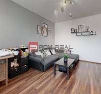 Wohnzimmer in einer Zweizimmerwohnung mit dunklem Sofa und Holzboden.