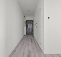 Flur in einer 2-Zimmer-Wohnung mit Laminatboden und weißen Wänden.