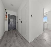 Eingangsflur in einer 2-Zimmer-Wohnung mit Vinylboden und Kunststofftüren.