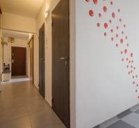 Der Flur in der 2-Zimmer-Wohnung mit einem Muster aus roten Punkten an der Wand.