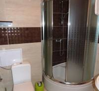 Badezimmer in einer 2-Zimmer-Wohnung mit Dusche und WC.