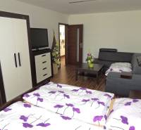 Schlafzimmer in einer 2-Zimmer-Wohnung mit Sofa, Schrank und Fernseher, Blumendekor.