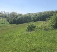 Auf dem Bild sind grüne Erholungsgrundstücke mit einer Straße, umgeben von Wäldern und Natur.