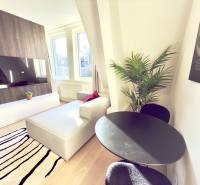 Einzimmerwohnung mit Fernseher, Sofa und Tisch, ergänzt durch eine Pflanze und einen modernen Teppich.