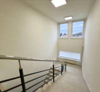 Das Treppenhaus mit Fenstern bietet Licht zur Sadová-Straße, geeignet für eine 2-Zimmer-Wohnung.