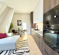 Einzimmerwohnung mit Küchenzeile, Sofa, Tisch und Pflanze, ideal für gemütliches Wohnen.