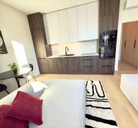 Einzimmerwohnung mit Küchenzeile und Esstisch, bequeme Couch, Holzdessin.