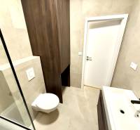 Ein Badezimmer in einem Studio-Apartment mit einer hängenden Toilette und einem modernen Waschbecken.