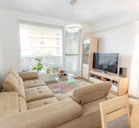 Helles Wohnzimmer einer 3-Zimmer-Wohnung mit Sofa, Fernseher, Teppich und Blumen am Fenster.