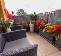 Ein Balkon mit bequemen Sitzgelegenheiten, Blumen und dekorativen Schmetterlingen in einer 3-Zimmer-Wohnung.