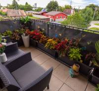 Ein Balkon mit Blumen, Rattanmöbeln und Blick ins Grüne in einer 3-Zimmer-Wohnung.