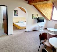Dachgeschosswohnung mit 2 Zimmern, Fernseher, Tisch, Sesseln und Zugang zum Schlafzimmer.
