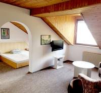 Dachgeschosswohnung mit 2 Zimmern, mit gewölbten Durchgängen und Dachfenster.