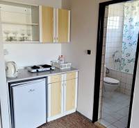 Kochnische mit Kochfeld und Badezimmer in einer 2-Zimmer-Wohnung.
