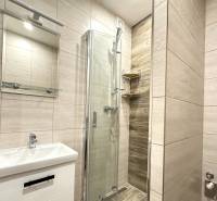 Badezimmer mit Waschbecken, Duschkabine und Spiegel in einer 2-Zimmer-Wohnung.