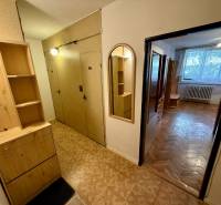Flur mit Holzmöbeln und Blick in ein Zimmer in einer Einzimmerwohnung.