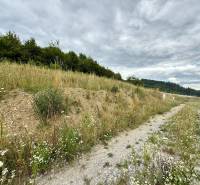 Grundstücke - Wohnen in Divinka mit Gras, Bäumen und einer Straße unter wolkigem Himmel.