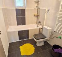 Badezimmer in einem Einfamilienhaus mit Dusche, Toilette und Heizkörper.
