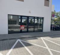 Geschäftsräume in der Eduarda-Wenzla-Straße in Bratislava III mit verglasten Türen.