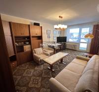 Stilvolles Wohnzimmer in einer 3-Zimmer-Wohnung mit Sofa, Sessel und Vorhängen.