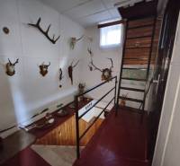 Innenraum einer Hütte mit Treppe, Wanddekorationen und einer Sammlung von Jagdtrophäen.
