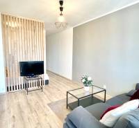 Wohnbereich einer Einzimmerwohnung mit Sofa, Fernseher und Holzwand.
