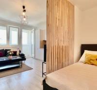 Einzimmerwohnung mit Sofa, Bett und hölzerner Trennwand.