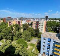 Blick auf die bunten Wohnblöcke und das Grün in der Rezedova-Straße in Bratislava - Ružinov.