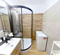Badezimmer mit Eckdusche, Waschmaschine und Waschbecken in einer Einzimmerwohnung.