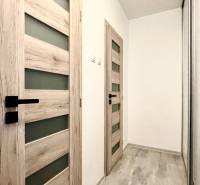 Ein Flur mit hellen Türen und einem Spiegelschrank in einer Einzimmerwohnung.