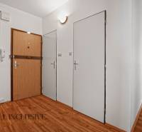 Eingangsflur in einer 2-Zimmer-Wohnung mit Holzboden und weißen Wänden.
