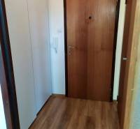 Eingangsbereich mit Tür und Einbauschrank in einer Einzimmerwohnung.
