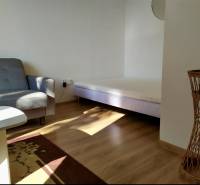 Wohnbereich einer Einzimmerwohnung mit Sofa, Bett und hellen Holzmöbeln.