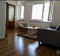 Wohnzimmer in einer Einzimmerwohnung mit Holzboden, Sofa und großen Fenstern.