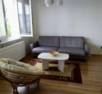 Heller Wohnraum in einer Einzimmerwohnung mit beigem Sessel und grauem Sofa.
