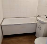 Badezimmer in einer Einzimmerwohnung mit Badewanne, Waschbecken und Toilette, Fliesen in Holzoptik.