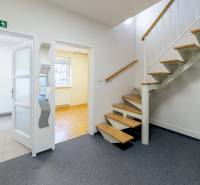 Innenraum eines Einfamilienhauses mit Treppe, Türen und Fenstern, Teppich und Fliesen.