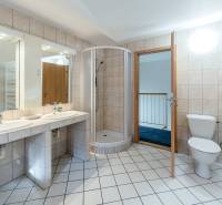 Badezimmer im Einfamilienhaus mit Waschbecken, Duschkabine und Toilette.