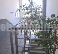 Treppe in Büros mit rotem Feuerkasten und Zimmerpflanze.