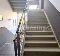 Treppe im Büro mit einfachem Geländer und Tageslicht.