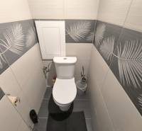 Toilette in einer 2-Zimmer-Wohnung, mit Fliesen im Blättermotiv.