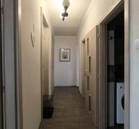 Der Flur in einer 2-Zimmer-Wohnung mit hellem Boden und einfacher Beleuchtung.