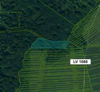 Die Katasterkarte des Gebiets Topoľovka zeigt landwirtschaftliche und forstwirtschaftliche Grundstücke mit Parzellennummern.