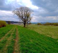 Landschaft in Topoľovka, landwirtschaftliche und forstwirtschaftliche Flächen mit einem Baum unter bewölktem Himmel.