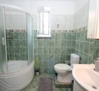 Ein Badezimmer in einem Einfamilienhaus mit grünen Fliesen, einer Dusche und einem Waschbecken.