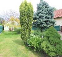 Der Garten eines Einfamilienhauses in Bratislava-Ružinov in den Neuen Gärten VII mit Nadelbäumen.