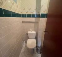 Toilette in einem Einfamilienhaus, mit Keramikfliesen und grünen Akzenten an den Wänden.