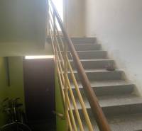 Eine Treppe in einem Einfamilienhaus mit Fahrrädern und einer Pflanze auf der Fensterbank.
