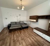 Wohnzimmer in einer Einzimmerwohnung mit Sofa, Tisch und Wanddekoration.