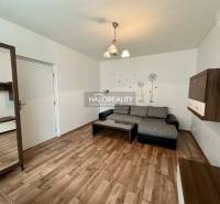 Wohnzimmer mit Sofa, Möbeln und dekorativen Aufklebern in einer Einzimmerwohnung.